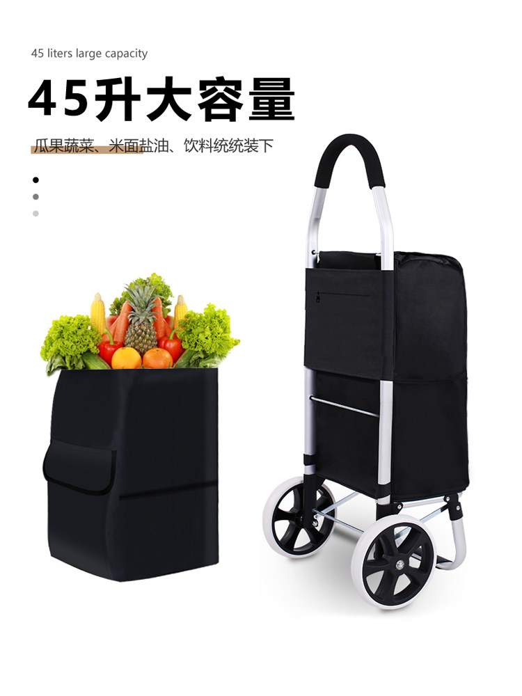 등산용 쇼핑카트 소형 손수레 노인용 접이식 휴대용 경량 - Pull Cart Fold 리뷰 및 가격