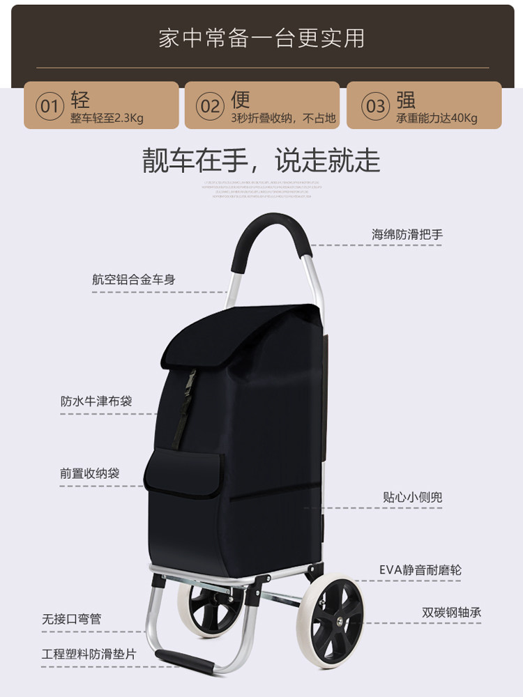 등산용 쇼핑카트 소형 손수레 노인용 접이식 휴대용 경량 - Pull Cart Fold 리뷰 및 가격